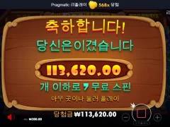 도그하우스 500배