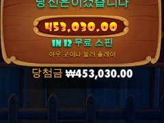 도그하우스 12스핀 개집바꾸자