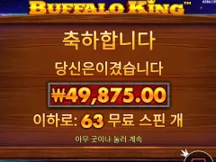 버팔로킹 63스핀 참담한 후기