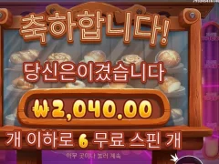 와일디즈 6스핀 바닥확정