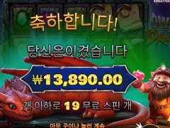 드워프앤드래곤 19스핀 13천원 개긑네ㄷ