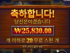 버팔로킹언테임드 20스핀 본전이네
