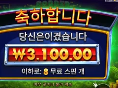 로버스트라이크 8스핀 존버탄다