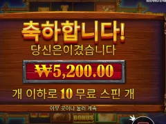 버팔로킹 언데임드 10스핀 담배값