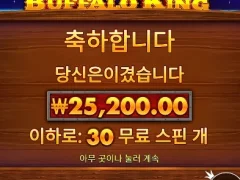 버팔로킹 30스핀 대비 결과가;;