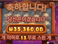 슬롯게임 와일디즈 12스핀 적절하다