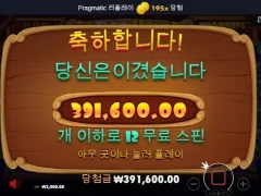 도그하우스 12스핀 약 200배 후기