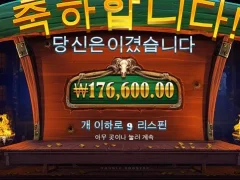 카우보이코인스 9스핀 리스펙
