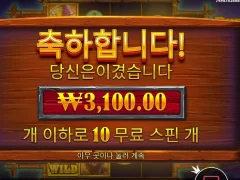 버팔로킹 언테임 메가웨이즈 10스핀 ㅈ같은게임