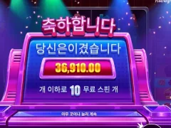 라이프리워드 10스핀 점심은 짱깨다