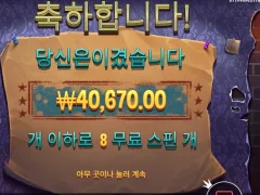 미스터리마이스 8스핀 낫배드 후기