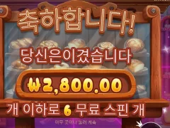 와일디즈 껌값만 주기로 유명했던가?