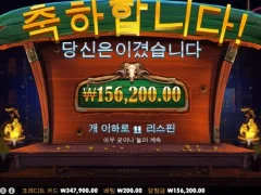 카우보이코인 11스핀 즐겜이잖아?