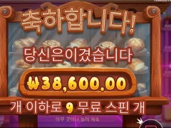 9스핀 개이득 후기 와일디즈