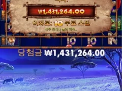 그레이트 라이노 메가 10스핀 500배 나이스