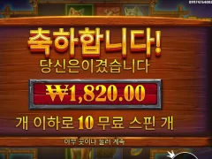 버팔로킹 언테임드 10스핀 바닥진입