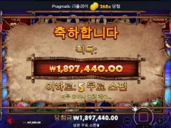 그레이트 라이노메가웨이즈 260배 개나이스