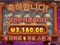 와일디즈 전기세도 안나는 9스핀 후기