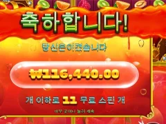 쥬씨프루트 11스핀 너만 믿고있었따