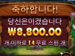 바이슨아 1콩은 넘겨야지 릴리즈더바이슨 14스핀