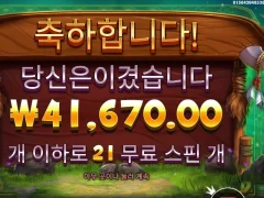 슬롯 릴리즈더바이슨 점심값 벌었다