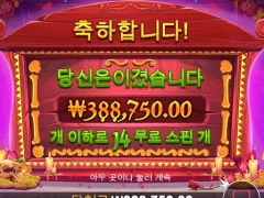 프라그마틱 무에르토스 14스핀 나한테도??