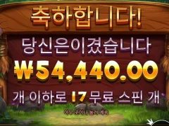 프라그마틱 릴리즈더바이슨 새벽후기