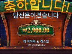 카우보이코인스 5스핀 암울하네