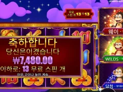 원숭이개새기 진짜.. 3댄싱몽키 13스핀