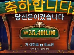 카우보이코인스 11스핀 후기