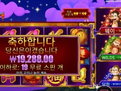 3댄싱몽키 19스핀 적절하다 적절해