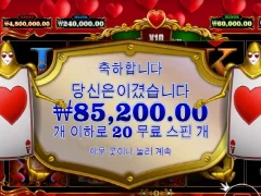 퀴니 20스핀 슬롯은 저녁부터지 고고