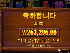 버팔로킹메가 17스핀 역시 버팔로