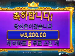 프린세스 5스핀 암담하다