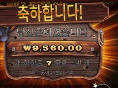 와웨골 7스핀 낫배드