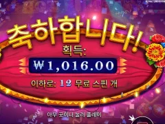 핫피에스타 바닥쓸기 샷