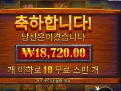 버팔로킹언테임드 10스핀 평타요