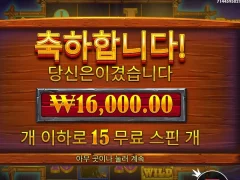 버팔로킹언테임드 15스핀 평타후기