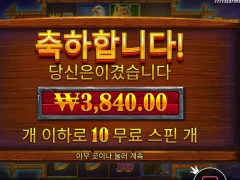 버팔로킹언테임드 오랜만에 바닥진입해보네