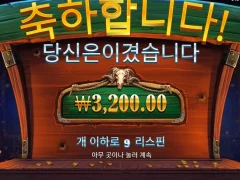 카우보이코인스 코인 다 잃겠네