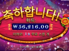 프라그마틱 핫피에스타 14스핀 치킨값 벌었다
