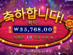 핫피에스타 야간에 돌리는거 나쁘지 않네