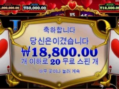 퀴니 20스핀 아직 길들여지지 않았구나