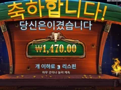 카우보이코인스 바닥입장이요
