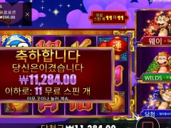 3댄싱몽키 11스핀 적당히주네