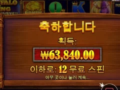 프라그마틱 버팔로킹메가 12스핀 야식용 ㅅ