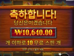 버팔로킹언테임드 본전은 참 잘챙겨주네보