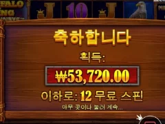 버팔로킹메가 12스핀 간식비용 굿
