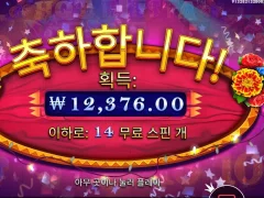 발닦고 잠이나 자자 핫피에스타