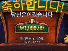어이가없어서 말이 안나오는 카우보이 코인스 후기